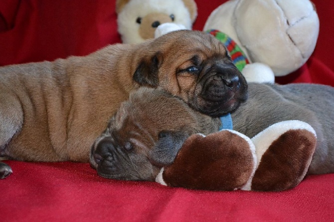 Nouvelles photos des bébés à 13 jours !!